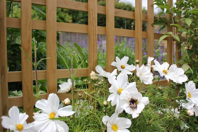 Tartan Timber Trellis Panel